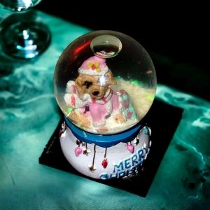 Beautiful Santa dog colorful snow globe